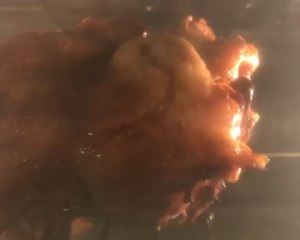 6を焼くパチパチ音を立てたイタリアの突風の豚の足の練習対策