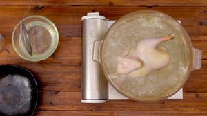 The practice measure of stage of cate of ｜ of chicken of peppery pig abdomen 1