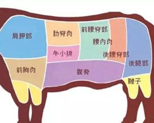The practice measure of beefsteak of black any of several hot spice plants 13