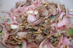 Onion explodes Zi like that the practice measure of beef 6