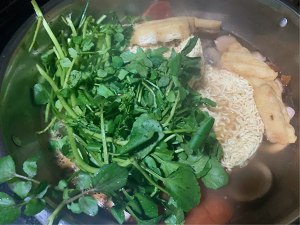 Beef of any of several hot spice plants of cane of new trial health is convenient the extent is true practice measure 3