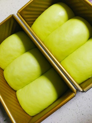 The practice measure of system of appointing national minority hereditary headmen in the Yuan of bovine oil fruit 10