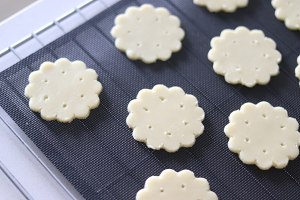 The practice move that flat bread of bovine breast flavour fights 13