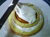 The practice measure of beautiful cake of back up of ovine baa baa 19