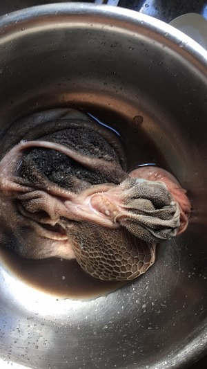 The practice measure of soup of abdomen of Qiu Dongzi filling sheep 1