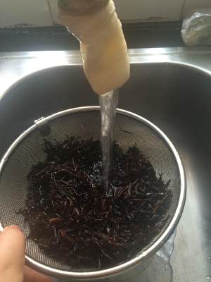 The practice measure of dish of dwell of the simple edition sheep that boil 4