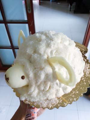 The practice measure of ovine sheep cake 1