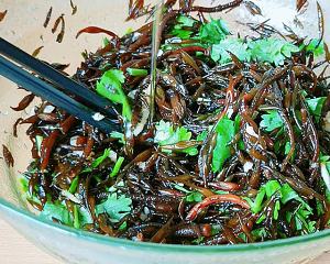 Healthy and algal " macrobian dish " mix simply fall tastily the practice measure of dish of dwell of sheep of cold and dressed with sause of 3 tall ~ 9