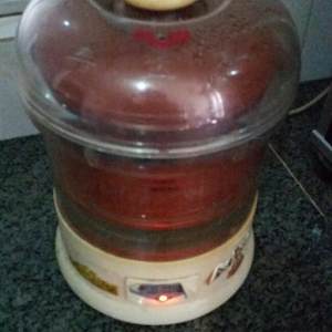 The practice measure that saline cistanche of Ba Ji the bark of eucommia stews the waist outside the sheep 5