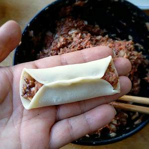 The practice measure of fried dumpling of beef of black any of several hot spice plants 10