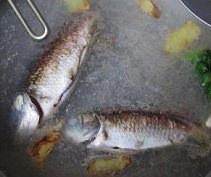 The practice measure of miscellaneous soup of sheep of crucian carp fish 9