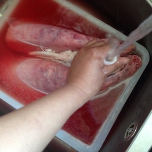 The practice measure of the lung that wash a sheep 3