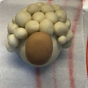 The practice measure of steamed bread of ovine baa baa 4