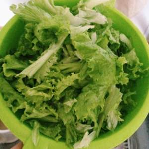 The sheep is living salad (French lettuce salad) practice measure 2