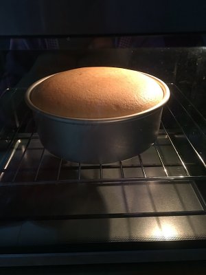 The practice measure of lamb sheep cake 1