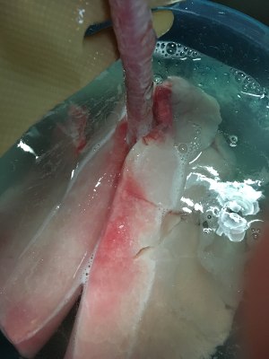 The practice measure that teachs you to wash ovine lung 3
