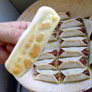 The practice measure of fried dumpling of beef of black any of several hot spice plants 14
