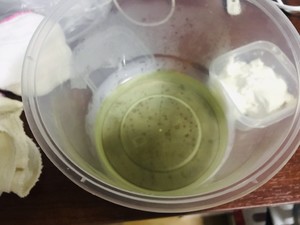 Yoghurt of initiative ferment sheep (milk powder edition) the practice measure that adds Greek yoghurt way 8