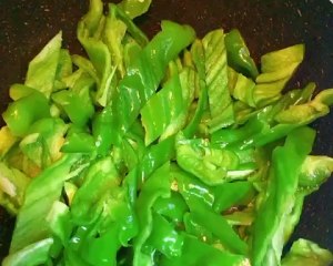 The practice measure of willow of green pepper ox 5