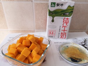 The practice measure of mango milk flummery 1