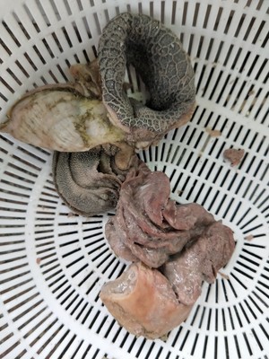 The practice measure of ovine abdomen soup 1