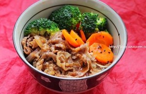 The practice measure of meal of beef of Home Ji Ye 10