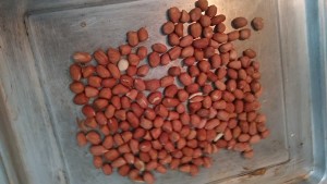The practice measure of sauce of Xianggu mushroom beef 15