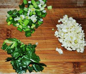 Local color is little feed [blood of sheep of hot pepper garlic] practice measure 2