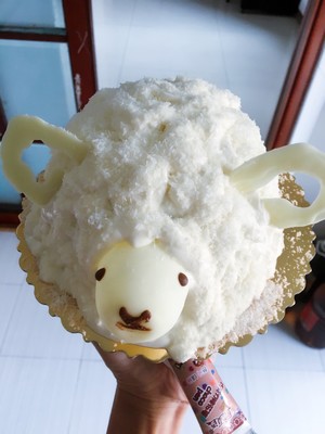 The practice measure of ovine sheep cake 2