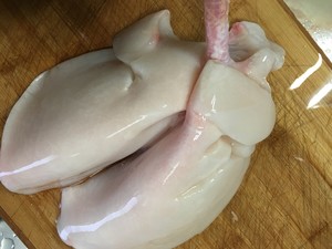 The practice measure that teachs you to wash ovine lung 5