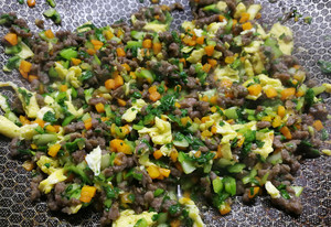 The practice measure of group of rice of cole of goosefoot wheat beef 6