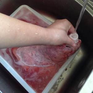 The practice measure of the lung that wash a sheep 2