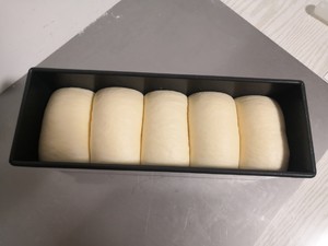 The practice measure that ripping eating milk to say department 13