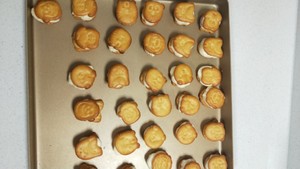 Crisp or snowflake of edition of biscuit of stage congratulate animal is arrogant the practice move that ties cake 16