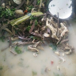 The practice measure that ovine miscellaneous boiling water covers inside 10