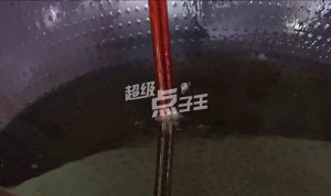 The practice measure of ovine Nan Bao 16