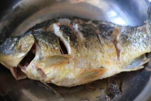 The practice measure of piscine sheep soup 1