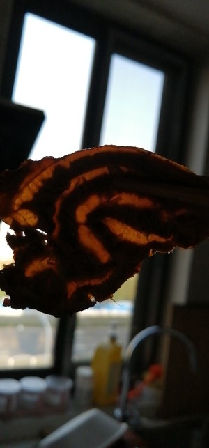 Simple and delicate the practice measure of inapproachable bittern beef 4