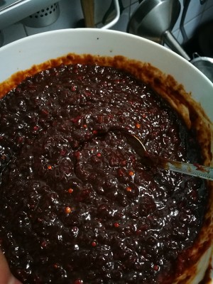 Zheng Laowu " sauce of sweet hot beef " practice measure 10