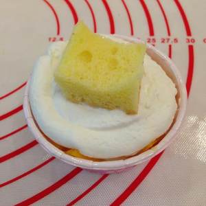 The practice measure of cake of cup of ovine baa baa 8