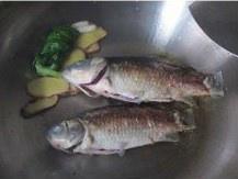 The practice measure of miscellaneous soup of sheep of crucian carp fish 8