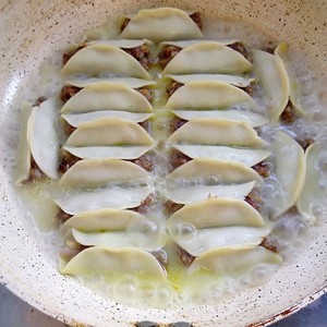 The practice measure of fried dumpling of beef of black any of several hot spice plants 15