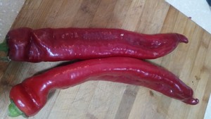 The practice measure of sauce of Xianggu mushroom beef 11