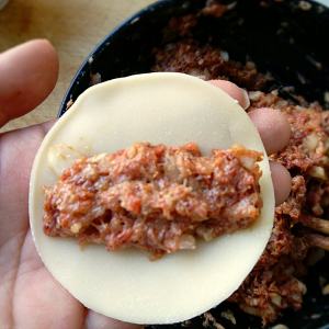 The practice measure of fried dumpling of beef of black any of several hot spice plants 8