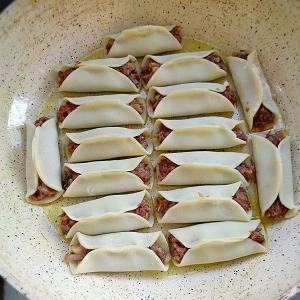 The practice measure of fried dumpling of beef of black any of several hot spice plants 12