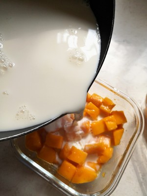 The practice measure of mango milk flummery 3