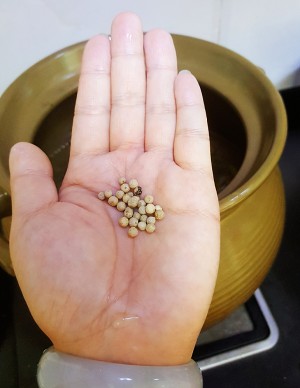 The practice measure of soup of ovine placenta turnip 7