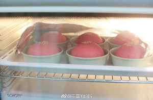 The practice measure of beef hamburger 5