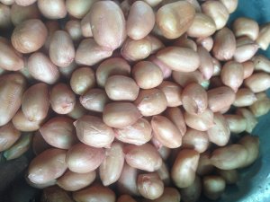 The practice measure of soup of lotus root of ovine abdomen lotus 3