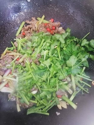 Small fry beef (rice killer series 10) practice measure 9